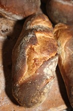 France, Haute Normandie, eure, roumois, bosguerard de marcouville, fete du pain, four a pain, cuisson, boulanger mr neveu,