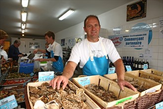 France, Basse Normandie, manche, granville, poissonerie le petit mareyeur, famille billard, commerce, bassin, port, bateaux, chalutiers, produits de la mer, serge billard,