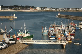 France, Bretagne, morbihan, quiberon, port maria, bateaux, chalutiers, ferry assurant la liaison avec belle ile en mer, compagnie oceane,