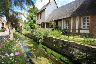 France, Haute Normandie, seine maritime, pays de bray, saint saens, riviere la varenne, rives fleuries,