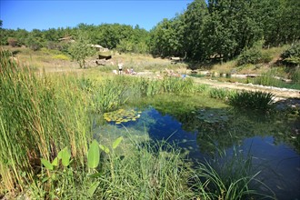 France, midi pyrenees, tarn et garonne, arnac, camping nature le camp,