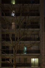 france, ile de france, paris, 14e arrondissement, nuit, matin, avenue du general leclerc, immeuble avec quelques fenetres allumees, 

Date : decembre 2012