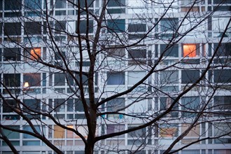 france, ile de france, paris, 14e arrondissement, nuit, matin, rue du commandant mouchotte, facade immeuble avec quelques fenetres allumees au petit matin, l'arbre et la ville, 

Date : decembre 2012