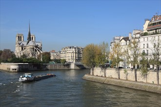 france, region ile de france, paris 4e arrondissement, ile saint louis, la Seine peniche, quai de bourbon, notre dame de paris