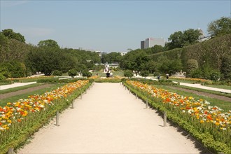 France, ile de france, paris 5e arrondissement, jardin des plantes, allee centrale.
Date : 2011-2012