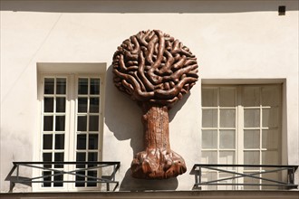 France, ile de france, paris 5e arrondissement, 69 rue mouffetard, detail, facade, mur, arbre.
Date : 2011-2012