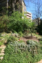France, ile de france, paris 7e arrondissement, jardin roger stephane, au bout de la rue recamier.
Date : 2011-2012