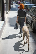 France, ile de france, paris, 7e arrondissement, rue de babylone, femme avec un levrier afghan, ombre sur le trottoir.
Date : 2011-2012