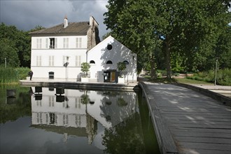 France, ile de france, paris, 12e arrondissement, bercy, parc de bercy, plan d'eau et oiseaux, roseaux

Date : 2011-2012