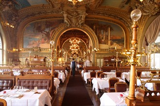 France, ile de france, paris 12e arrondissement, place louis armand, gare de lyon, restaurant le train bleu, gastronomie

Date : 2011-2012