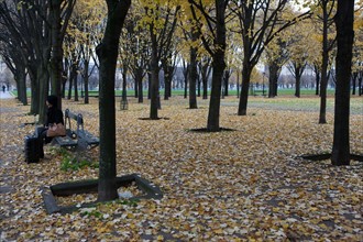 france, region ile de france, paris 7e arrondissement, rue de l'universite, esplanade des invalides, feuilles tombant des arbres, automne, feuilles jaunes,