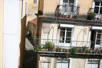 portugal, lisbonne, lisboa, signes de ville, lorgo do carmo,  paves, fleurs tombees des arbres, bairro alto, place, sol, voirie
Date : septembre 2011