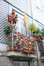 portugal, lisbonne, lisboa, signes de ville, baixa, detail de balcons fleuris
Date : septembre 2011