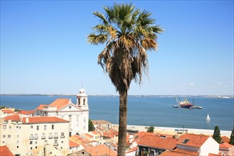 portugal, lisbonne, lisboa, signes de ville, alfama, panorama sur toits et le tage, paysage, toits, tuiles, palmier
Date : septembre 2011
