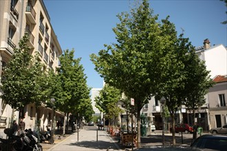 France, ile de france, paris 13e arrondissement,  rue de la butte aux cailles,  ambiance rue, street art,


Date : 2011-2012