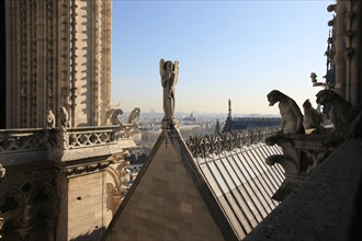 France, ile de france, paris 4e arrondissement, ile de la cite, parvis, notre dame de paris, cathedrale, montee aux tours, panorama,