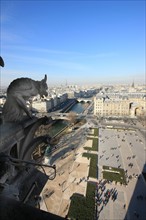 France, ile de france, paris 4e arrondissement, ile de la cite, parvis, notre dame de paris, cathedrale, montee aux tours, panorama, chimere,