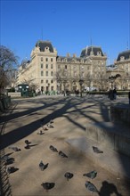 France, ile de france, paris 4e arrondissement, ile de la cite, parvis, notre dame de paris, cathedrale, montee aux tours, panorama, pigeons,