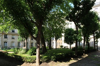 France, ile de france, paris 9e arrondissement, 41-47 rue des martyrs, maison dite Rognon, immeubles sur cour,