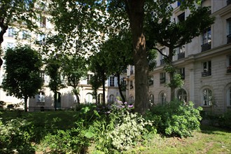 France, ile de france, paris 9e arrondissement, 41-47 rue des martyrs, maison dite Rognon, immeubles sur cour,