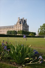 France, Region Ile de France, Paris, 1er arrondissement, jardin des Tuileries, bassin,