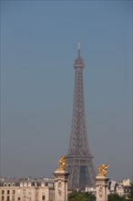 France, Region Ile de France, Paris 7e arrondissement, quai des Tuileries, la Seine et la Tour Eiffel, Pont Alexandre III,