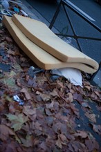 France, Region Ile de France, Paris 16e arrondissement, avenue du President Wilson, vieux matelas abandonne dans les feuilles mortes, matin,