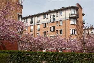 France, Region Ile de France, Hauts de Seine, Suresnes, cite jardin, arbres en fleur,