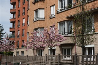 France, Region Ile de France, Hauts de Seine, Suresnes, cite jardin, arbres en fleur,