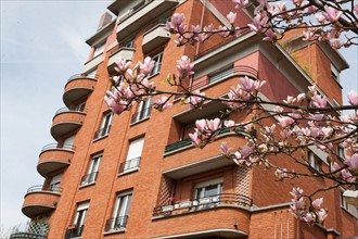 France, Region Ile de France, Hauts de Seine, Suresnes, cite jardin, arbres en fleur,