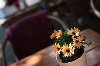 Allemagne (Germany), Berlin, Friedrichshain, immeuble, ancien Berlin Est, pot de fleur sur table de restaurant, terrasse,