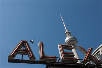 Allemagne (Germany), Berlin, Alexanderplatz, Tour Fernsehturm, tour de television de Berlin Est, lettres, gare, pigeon