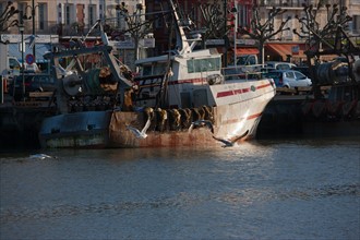 France, region Basse Normandie, Calvados, Cote fleurie, Trouville-sur-Mer, port, chalutiers a quai, mouettes, eau, la Touques,