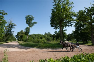 France, Ile de France, Val-de-Marne, Boissy-Saint-Leger, centre d'entrainement de Grosbois, chateau, trot, courses hippiques,