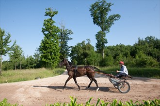 France, Ile de France, Val-de-Marne, Boissy-Saint-Leger, centre d'entrainement de Grosbois, chateau, trot, courses hippiques,