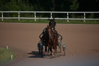 France, Ile de France, Val-de-Marne, Boissy-Saint-Leger, centre d'entrainement de Grosbois, chateau, trot, courses hippiques,