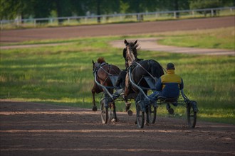 France, Ile de France, Val-de-Marne, Boissy-Saint-Leger, centre d'entrainement de Grosbois, chateau, trot, courses hippiques,