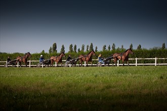 France, Ile de France, Val-de-Marne, Boissy-Saint-Leger, centre d'entrainement de Grosbois, chateau, trot, courses hippiques,