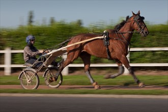 France, Ile de France, Val-de-Marne, Boissy-Saint-Leger, centre d'entrainement de Grosbois, chateau, trot, courses hippiques,