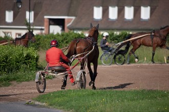 France, Ile de France, Val-de-Marne, Boissy-Saint-Leger, centre d'entrainement de Grosbois, chateau, trot, courses hippiques,