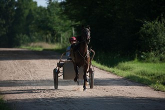 France, Ile de France, Val-de-Marne, Boissy-Saint-Leger, centre d'entrainement de Grosbois, chateau, trot, courses hippiques,