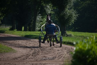 France, Ile de France, Val-de-Marne, Boissy-Saint-Leger, centre d'entrainement de Grosbois, chateau, trot, courses hippiques,