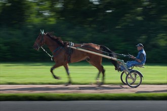 France, Ile de France, Val-de-Marne, Boissy-Saint-Leger, centre d'entrainement de Grosbois, chateau, trot, courses hippiques,