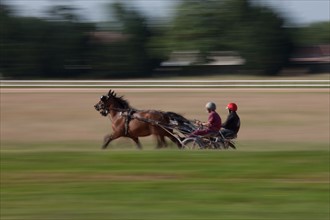 France, Ile de France, Val-de-Marne, Boissy-Saint-Leger, centre d'entrainement de Grosbois, chateau, trot, courses hippiques,