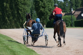 France, Ile de France, Val-de-Marne, Boissy-Saint-Leger, centre d'entrainement de Grosbois, chateau, trot, courses hippiques,