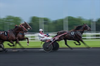 France, Ile de France, Val-de-Marne, Boissy-Saint-Leger, centre d'entrainement de Grosbois, chateau, trot, courses hippiques,