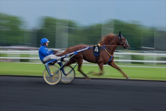 France, Ile de France, Val-de-Marne, Boissy-Saint-Leger, centre d'entrainement de Grosbois, chateau, trot, courses hippiques,