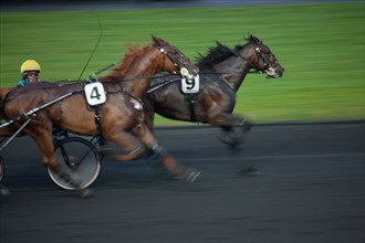 France, Ile de France, Val-de-Marne, Boissy-Saint-Leger, centre d'entrainement de Grosbois, chateau, trot, courses hippiques,