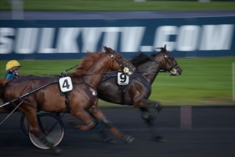 France, Ile de France, Val-de-Marne, Boissy-Saint-Leger, centre d'entrainement de Grosbois, chateau, trot, courses hippiques,