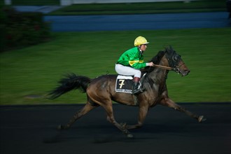 France, Ile de France, Val-de-Marne, Boissy-Saint-Leger, centre d'entrainement de Grosbois, chateau, trot, courses hippiques,